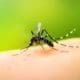Villa Cañás: Confirman caso de dengue importado y por el momento es el primero de General López