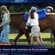 Resumen Semanal Leguas Noticias