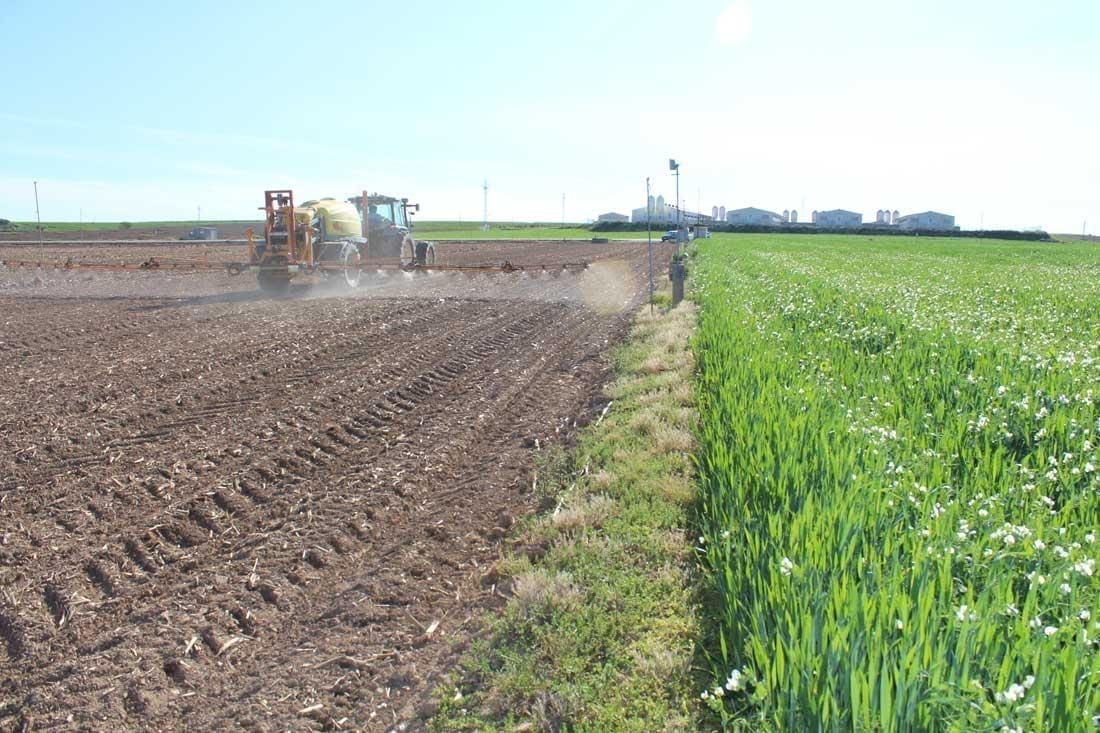 Venado Tuerto: Advierten sobre el uso de agroquímicos