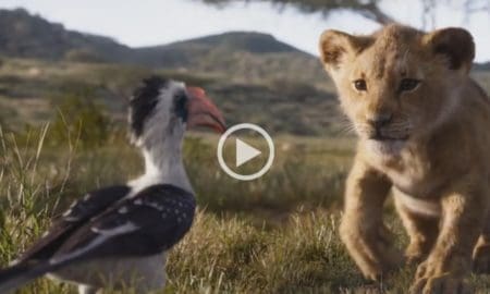 Presentaron el nuevo trailer de El Rey León
