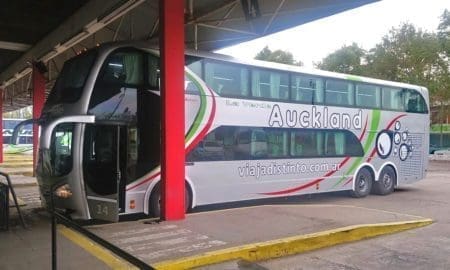 De interés: Horarios de viajes a Santa Fe y Rosario desde Venado Tuerto