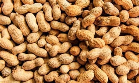 Bajan retenciones para productos de economías regionales