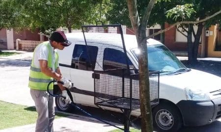 Villa Cañás: Aplicación de productos biológicos para el control de las gatas peludas