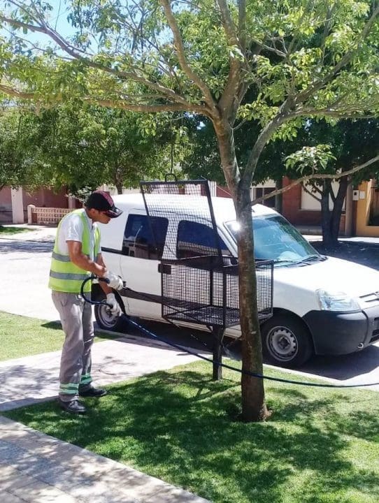 Villa Cañás: Aplicación de productos biológicos para el control de las gatas peludas