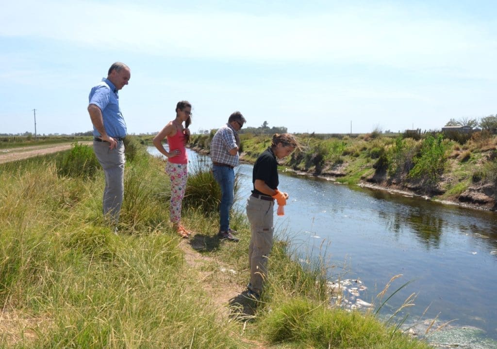Villa Cañás: Funcionarios del Ministerio de Ambiente evaluaron los peces muertos Villa Cañás: Funcionarios del Ministerio de Ambiente evaluaron los peces muertos