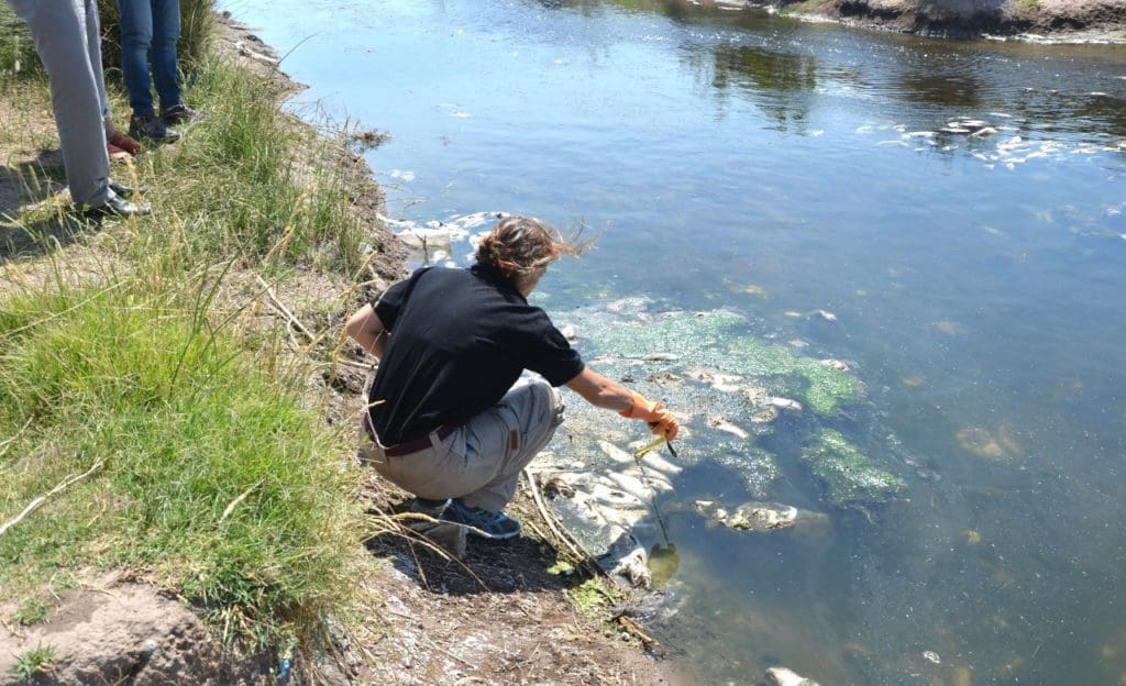 Villa Cañás: Funcionarios del Ministerio de Ambiente evaluaron los peces muertos Villa Cañás: Funcionarios del Ministerio de Ambiente evaluaron los peces muertos