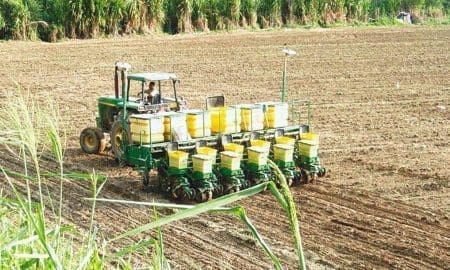 Wheelwright: Desde hace 17 años aplica tasa rural segmentada beneficiando a pequeños productores