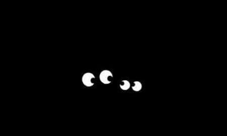 Insólito: Un gato dejó sin luz a 14 localidades del sur santafesino