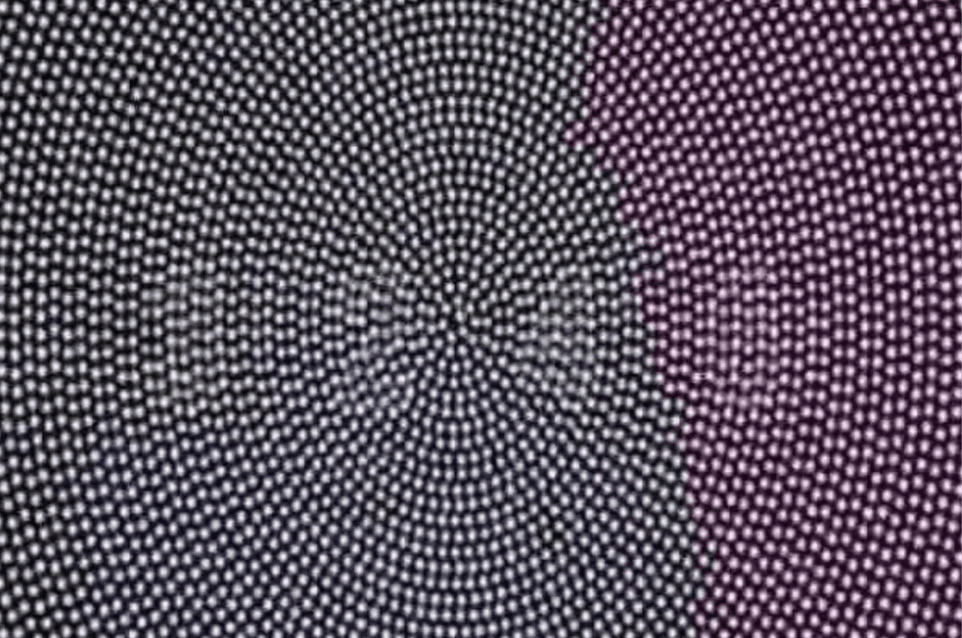 ¿Qué número ves? El reto viral que detecta problemas en la vista