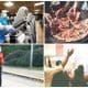 Venado Tuerto: Con acuerdo provincial y municipal se retorna a Fase 4