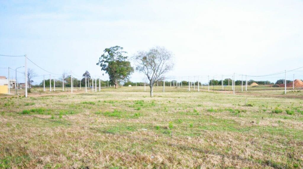 Venado Tuerto: Chiarella anunció "Nuestro Terreno", el programa de venta de terrenos municipales