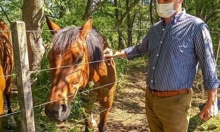María Teresa: Enrico continúa acompañando a la Asociación "Caballos del Viento"