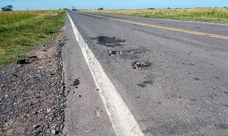 Senador Enrico: "Con un millón de pesos no se repara la Ruta 14"