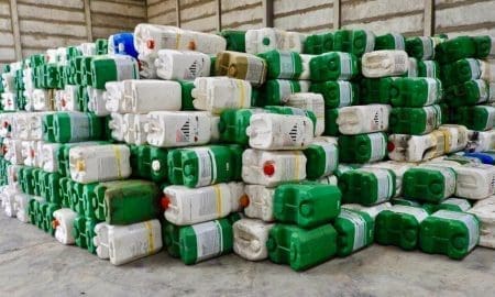 Enrico y Gianetti gestionan un proyecto medioambiental para Wheelwright