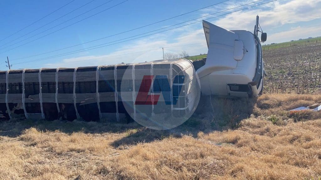 Amenabar: Accidente fatal, dos mujeres murieron en la Ruta 33