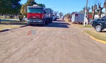 Lisandro Enrico La Chispa Plan Incluir