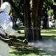 Venado Tuerto: El municipio inicia la campaña de control de mosquitos y vector del dengue