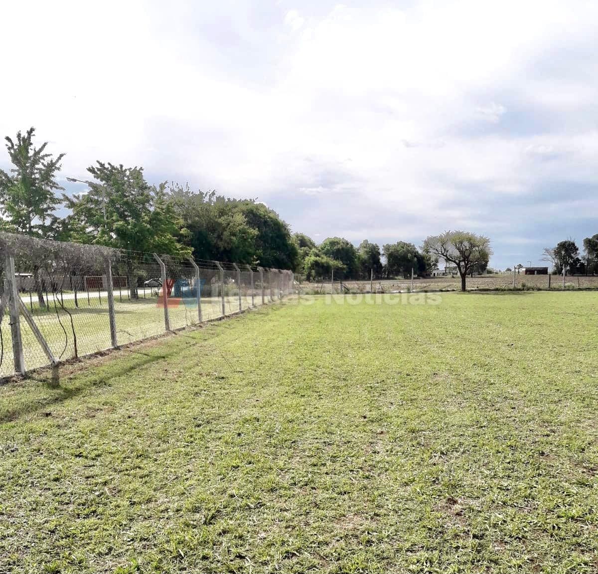 Enrico solicita que se concrete un proyecto de forestación en el Club Puerto de San Gregorio