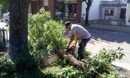 Venado Tuerto: Las cuadrillas del gobierno municipal sigue trabajando en los barrios tras la fuerte tormenta