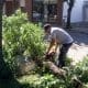 Venado Tuerto: Las cuadrillas del gobierno municipal sigue trabajando en los barrios tras la fuerte tormenta