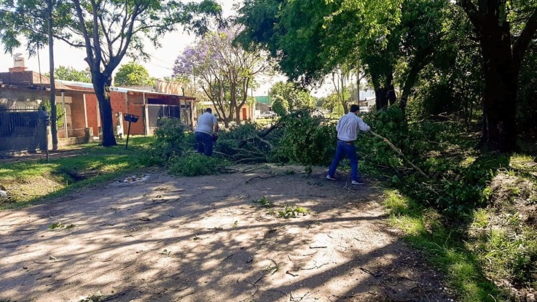 Venado Tuerto: Las cuadrillas del gobierno municipal sigue trabajando en los barrios tras la fuerte tormenta Venado Tuerto: Las cuadrillas del gobierno municipal sigue trabajando en los barrios tras la fuerte tormenta