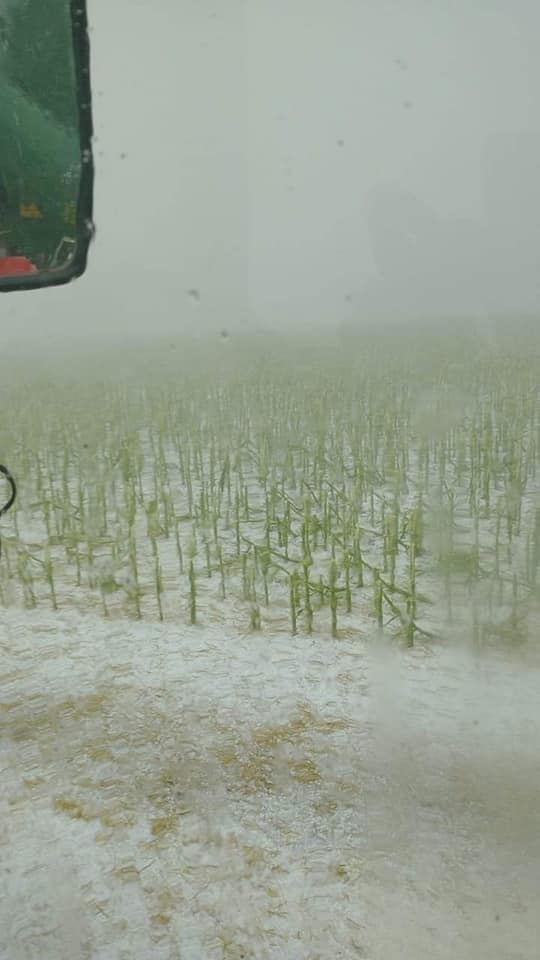 Villa Cañás: Por el tornado reportan millonarias perdidas económicas