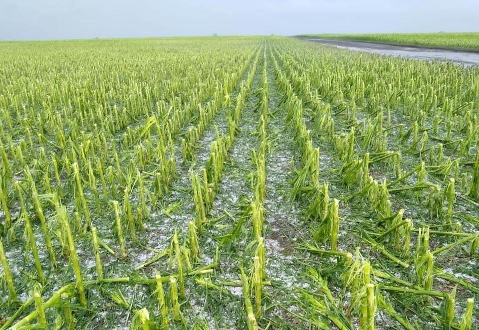 Villa Cañás: Convocatoria a productores agropecuarios afectados por el granizo