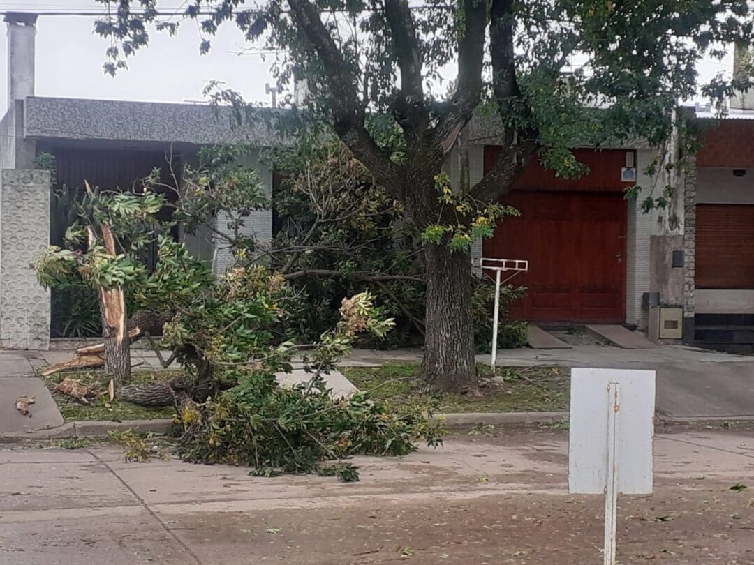 Villa Cañás: Fuertes vientos provocaron caída de árboles colapsando el servicio eléctrico