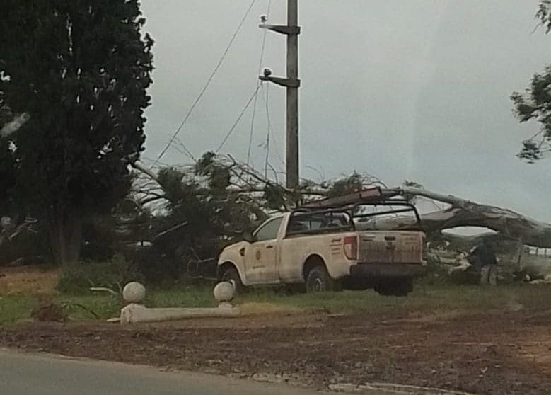Villa Cañás: Otra vez en un mes fuertes vientos provocaron caída de árboles colapsando el servicio eléctrico