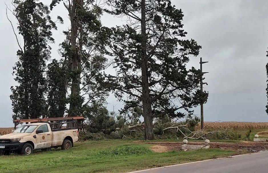 Villa Cañás: Otra vez en un mes fuertes vientos provocaron caída de árboles colapsando el servicio eléctrico Villa Cañás: Otra vez en un mes fuertes vientos provocaron caída de árboles colapsando el servicio eléctrico