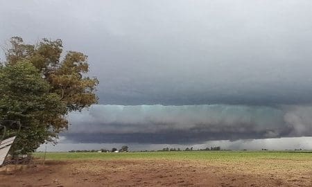 Nuevo alerta amarillo en la región con fuertes vientos del sur