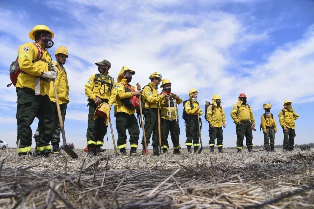 Día de la Tierra: Lewandowski presentó un proyecto para reconocer a los brigadistas que integran el Sistema Federal del Manejo del Fuego