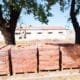 San Gregorio: El senador Enrico informó que el mes de abril comienza la construcción del nuevo Jardín