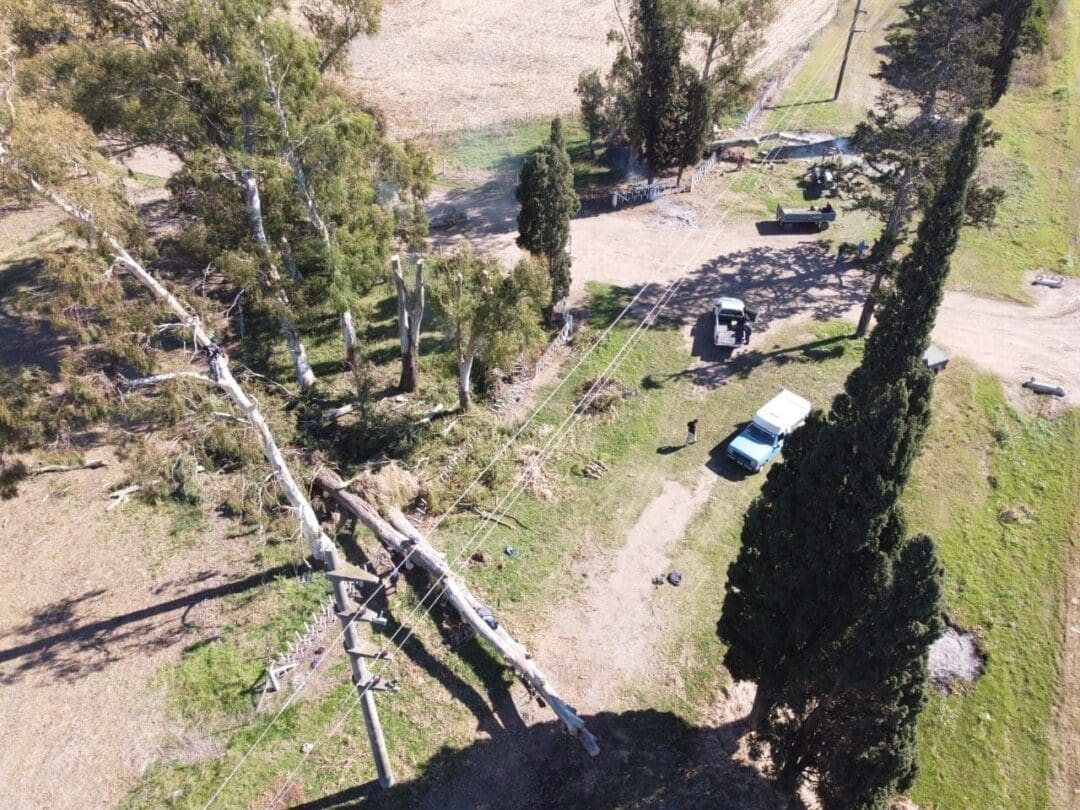 Ruta 94: Compromiso asumido y cumplido en la extracción de árboles para evitar cortes de energía eléctrica Ruta 94: Compromiso asumido y cumplido en la extracción de árboles para evitar cortes de energía eléctrica