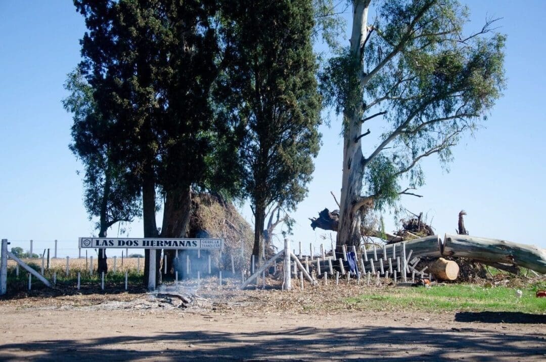 Ruta 94: Compromiso asumido y cumplido en la extracción de árboles para evitar cortes de energía eléctrica