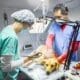 El quirófano móvil impulsado por el senador Enrico continúa atendiendo la salud de los animales en la región