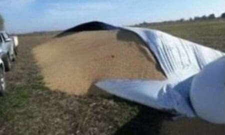 Teodelina: Robaron 8.000 kilos de soja a un productor