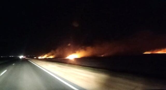 Venado Tuerto: Voraz incendio a la vera de la Ruta 33