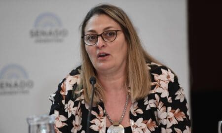 Salud digital: La diputada Ciancio expuso en el Senado de la Nación