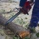 Venado Tuerto: El gobierno municipal ya distribuyó cerca de 5 mil kilos de leña para calefacción de hogares