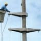 La EPE licita la línea eléctrica que conecta María Teresa con San Gregorio