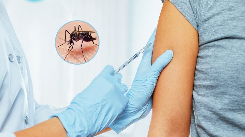 Dengue en Santa Fe: Habrá vacunas, pero no podrán aplicarselas a todos