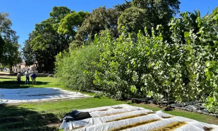 El vivero departamental impulsado por el senador Enrico ya da sus frutos a la región