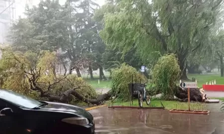 Villa Cañás: La fuerte tormenta de lluvia y viento provocó importantes daños