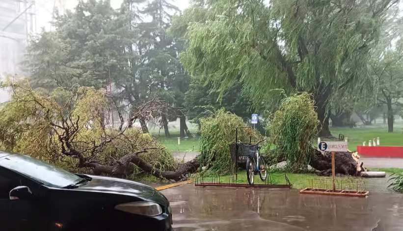 Villa Cañás: La fuerte tormenta de lluvia y viento provocó importantes daños