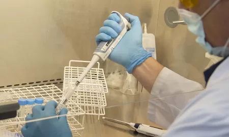 Encefalitis Equina del Oeste: El laboratorio del Cemar se convierte en centro de referencia para la provincia