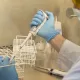 Encefalitis Equina del Oeste: El laboratorio del Cemar se convierte en centro de referencia para la provincia