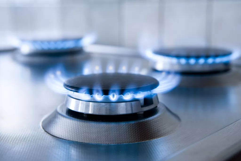 Zona Fría: Impulsan cambios en los subsidios y millones de hogares podrían pagar más por el gas