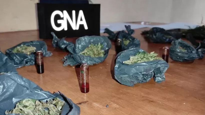 Secuestran 75 kilos de marihuana tras denuncias en los Buzones de la Vida
