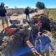 Villa Cañás: Trabajos en el Puente Raizabal en zona rural
